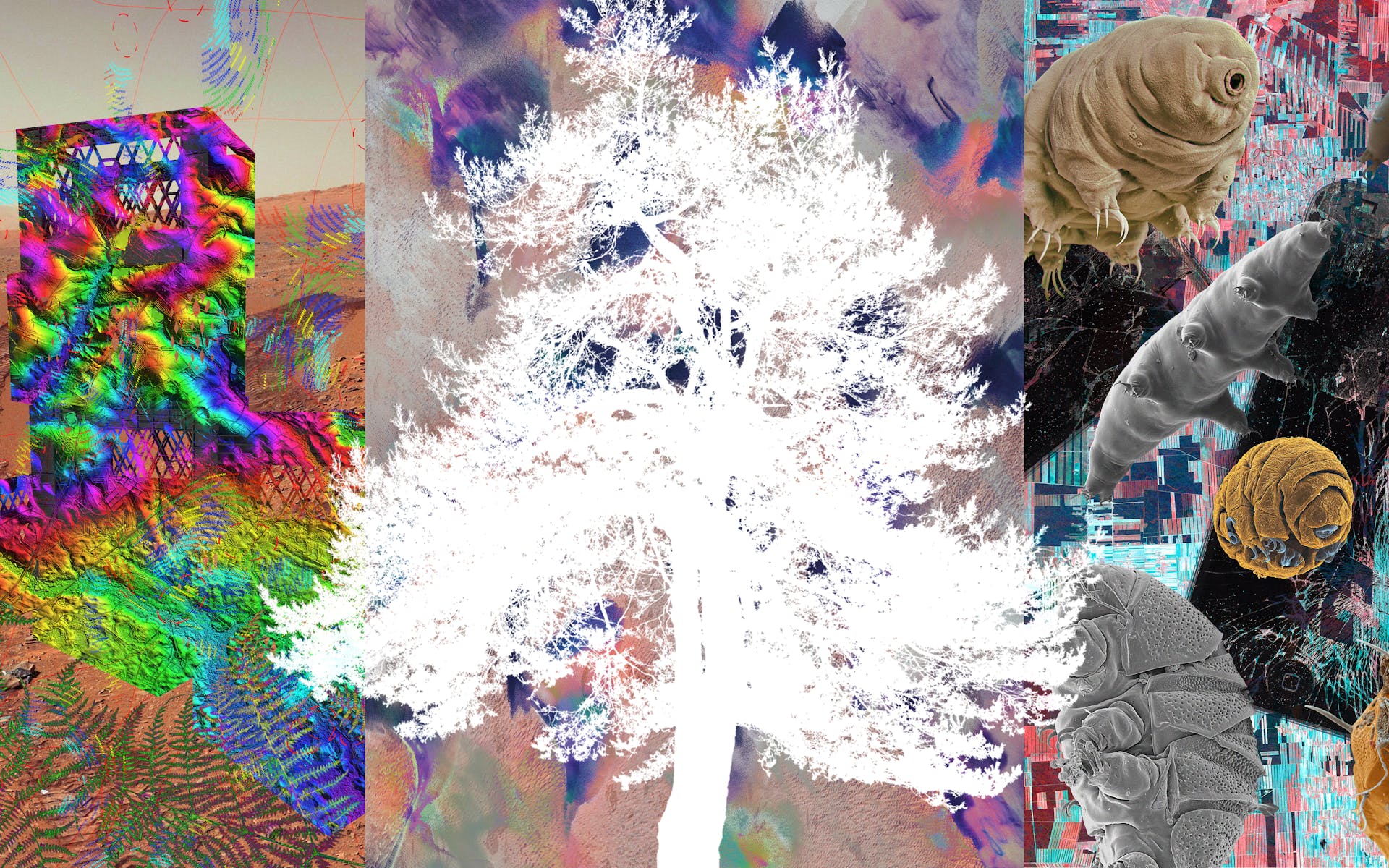 Colorful collage incorporating silhouette of tree, tardigrades, Mars landscape, broken telephone, milk crates