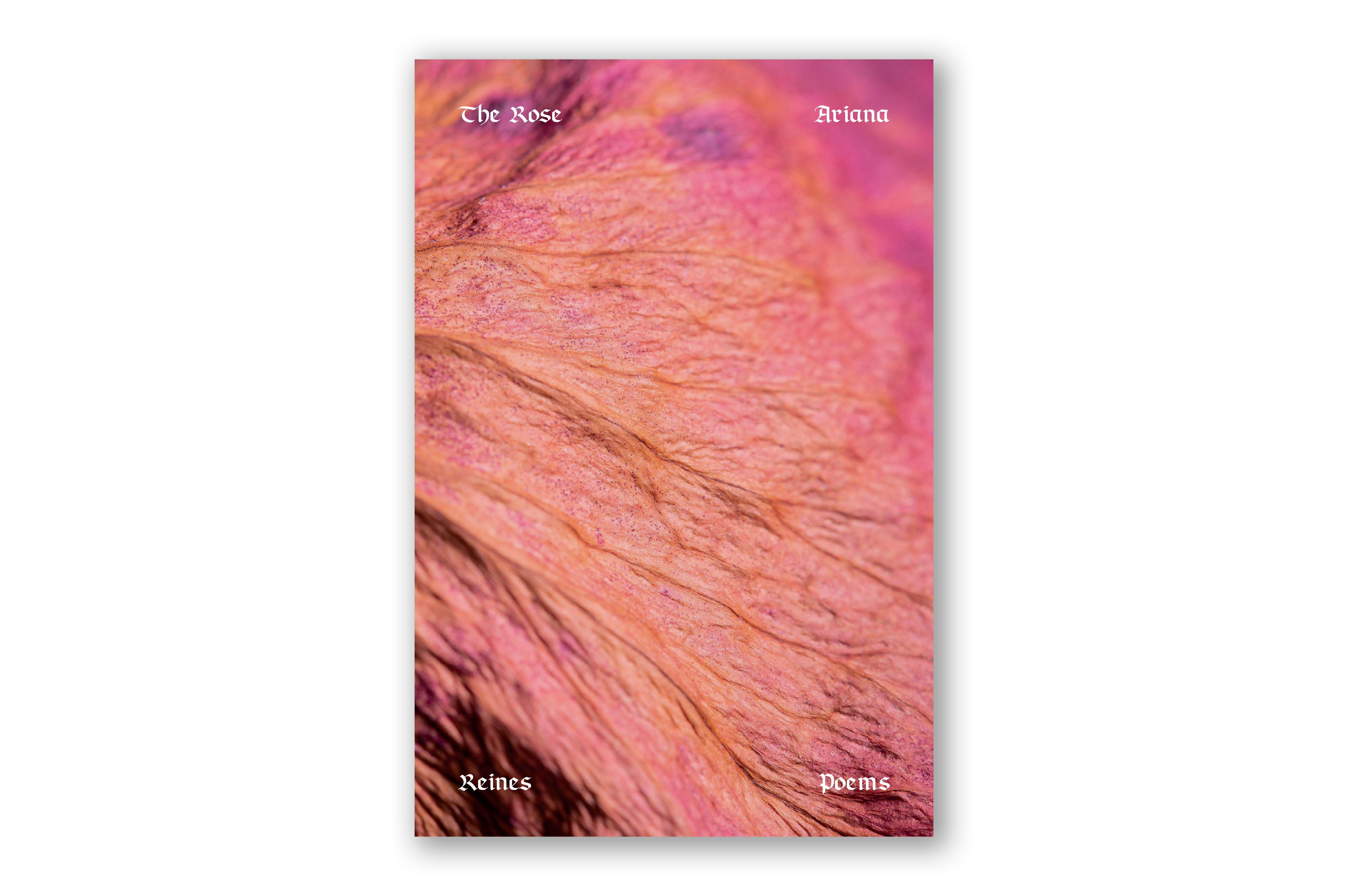 Close-up of a dried pink rose petal with white text displaying the book title and author’s name.