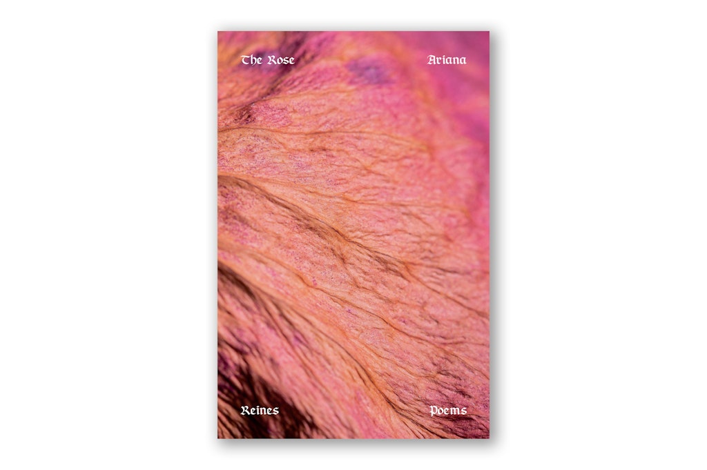 Close-up of a dried pink rose petal with white text displaying the book title and author’s name.