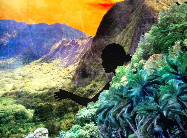 Miwa Matreyek: This World Made Itself