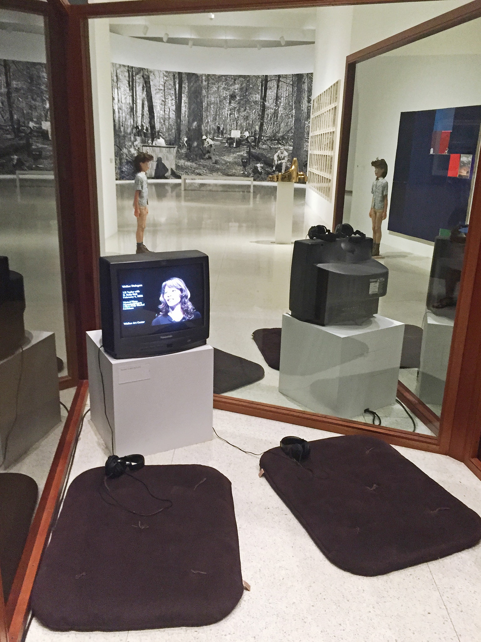 Photographic view of the exhibition Art at the Center: 75 Years of Walker Collections in 2015