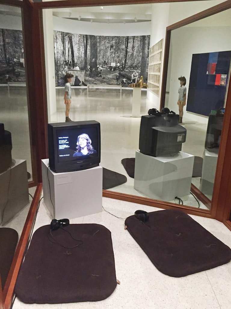 Photographic view of the exhibition Art at the Center: 75 Years of Walker Collections in 2015