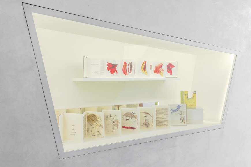 Best Buy Aperture: Misbehaving Books: Minnesota Artists’ Books from the Walker Art Center Library