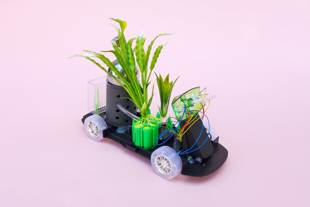 Photo of GM Platano Garden Cart artwork