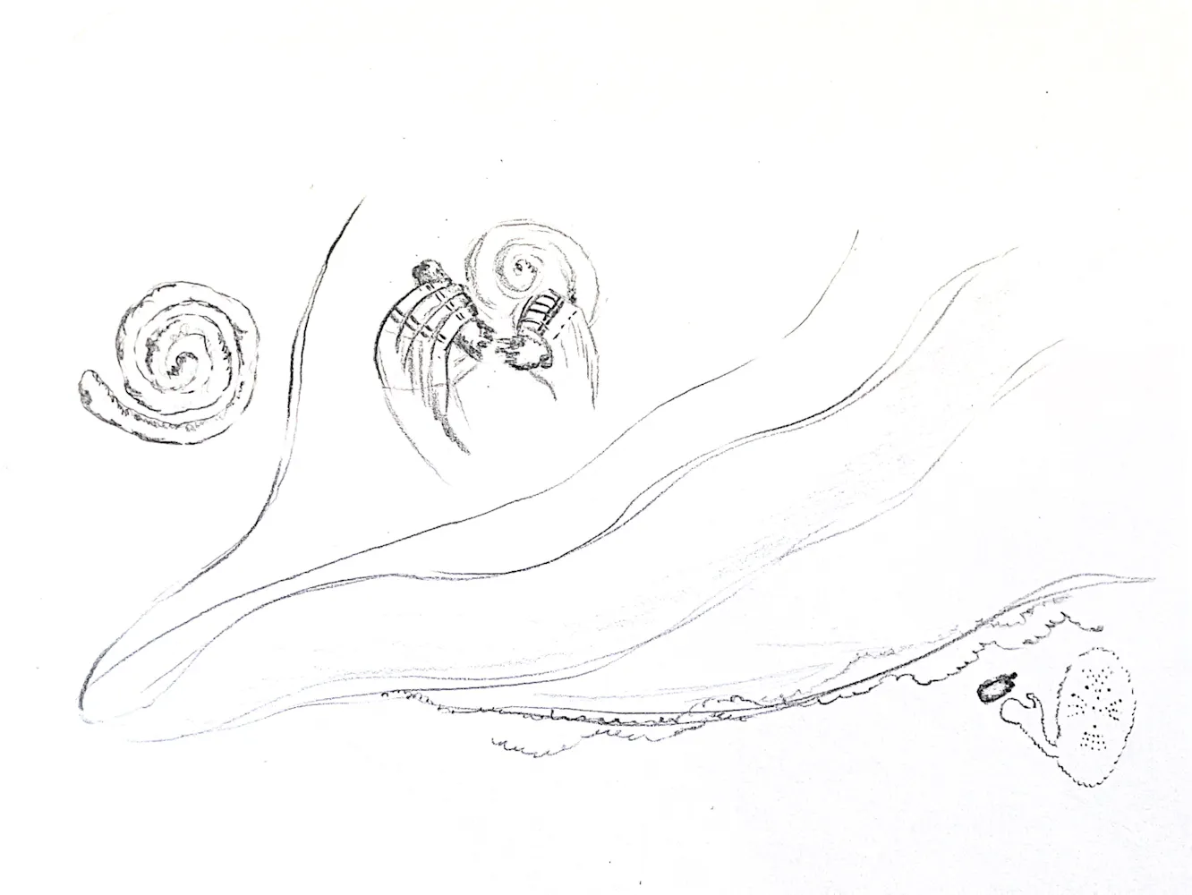 Penil drawing of swirls lines and hands.