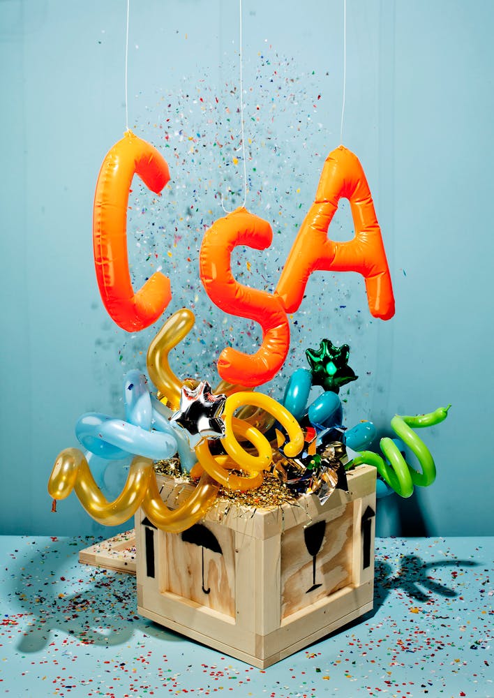 CSA Community Supported Art Pi