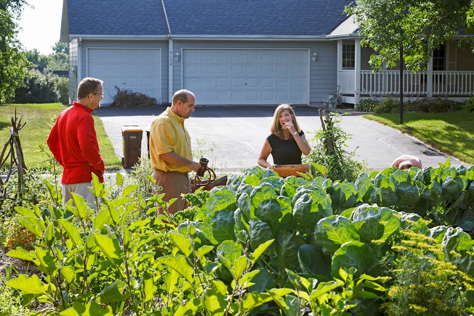 Edible Estate #15, part of Fritz Haeg: At Home in the City, 2013