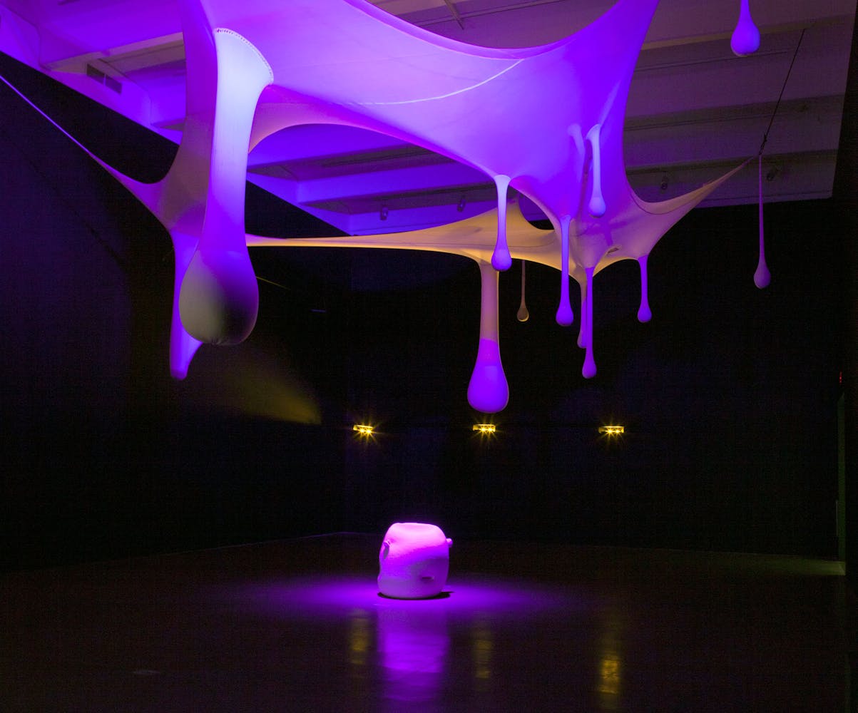 Installation view of the exhibition Dance Works II: Merce Cunningham/Ernesto Neto, 2011