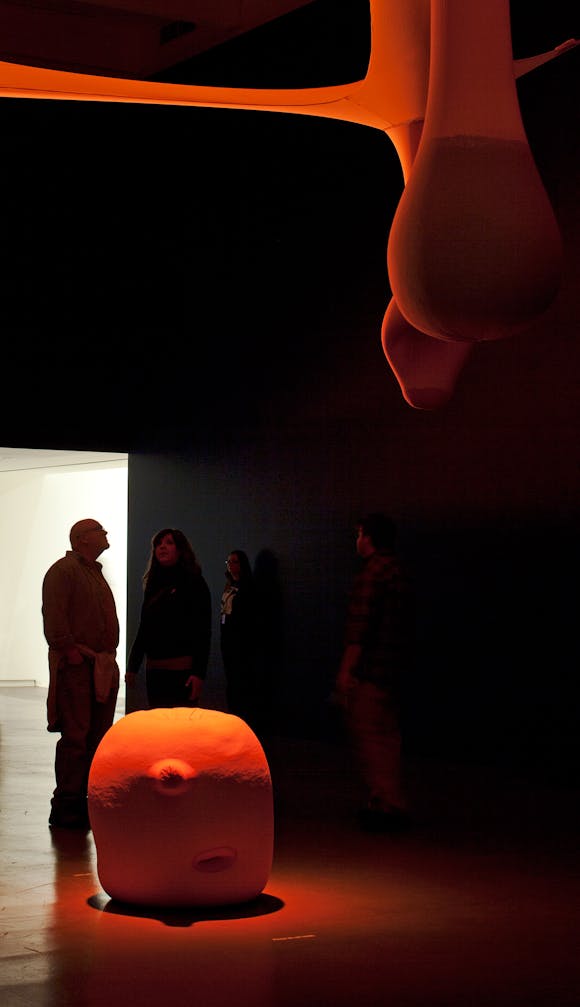 Installation view of the exhibition Dance Works II: Merce Cunningham/Ernesto Neto, 2011