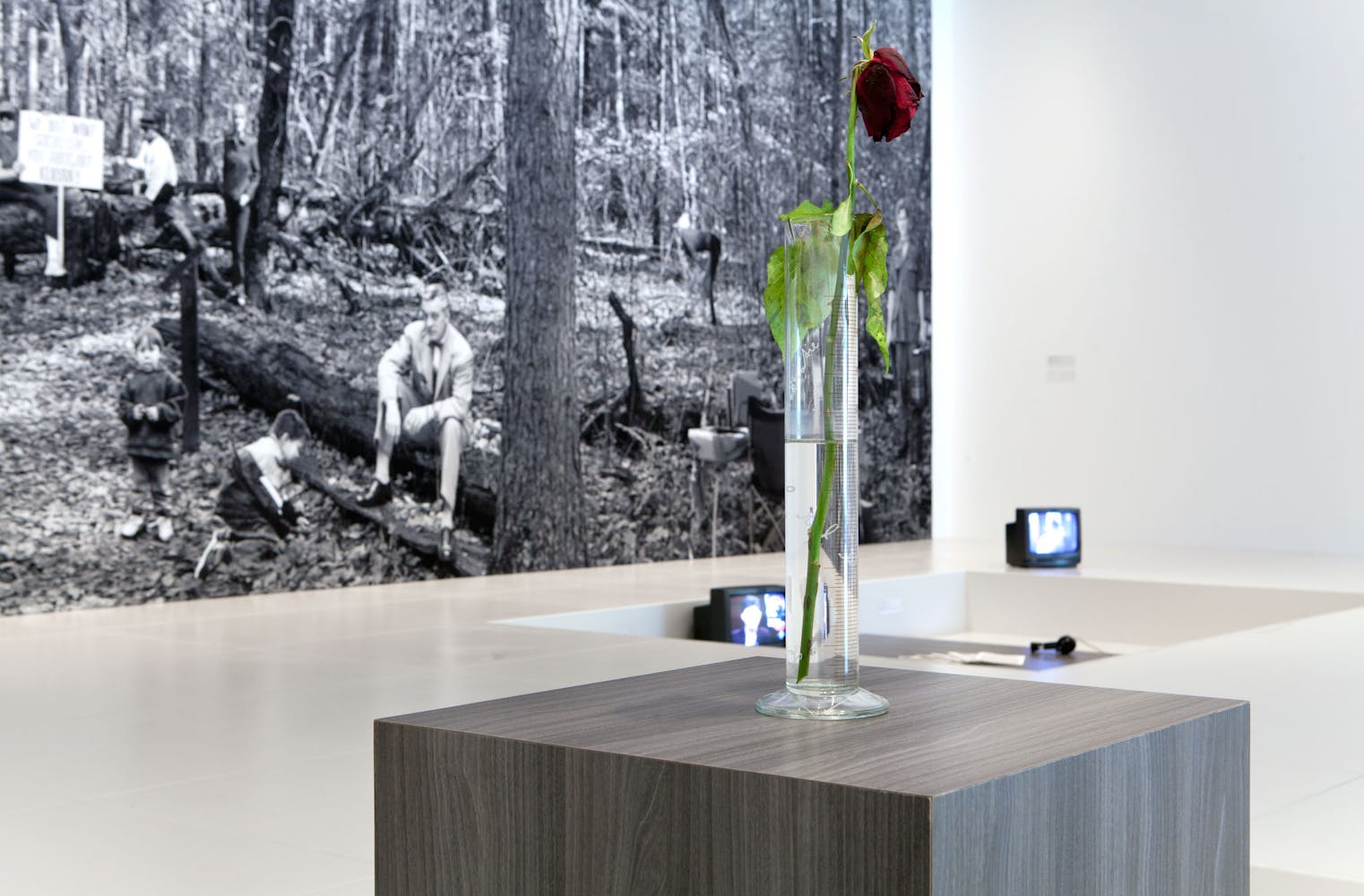 Installation view of the exhibition Goshka Macuga: It Broke from Within, 2011