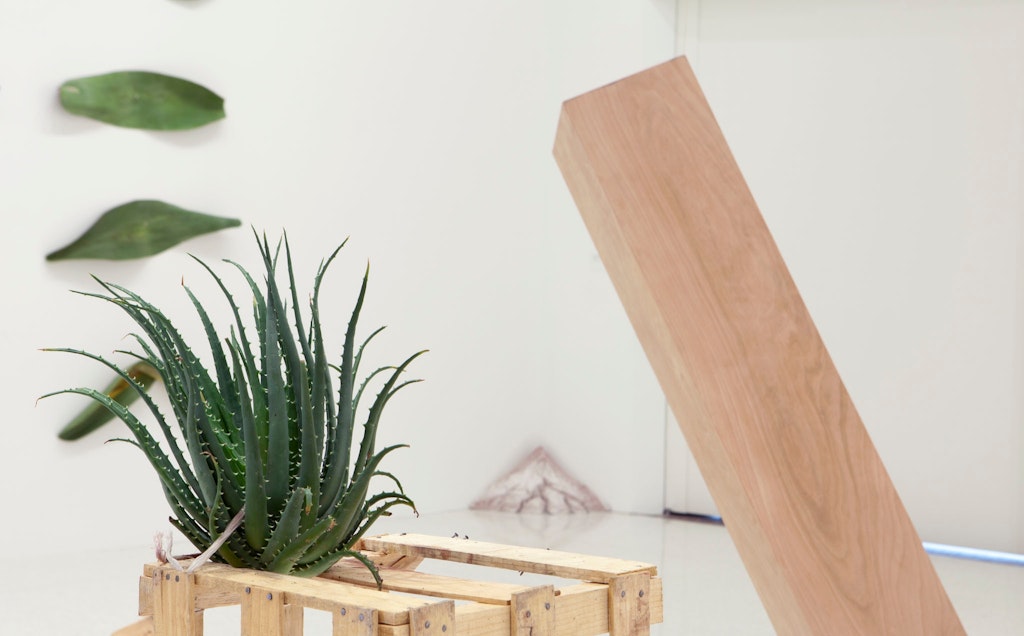 Abraham Cruzvillegas, Exhibition Still