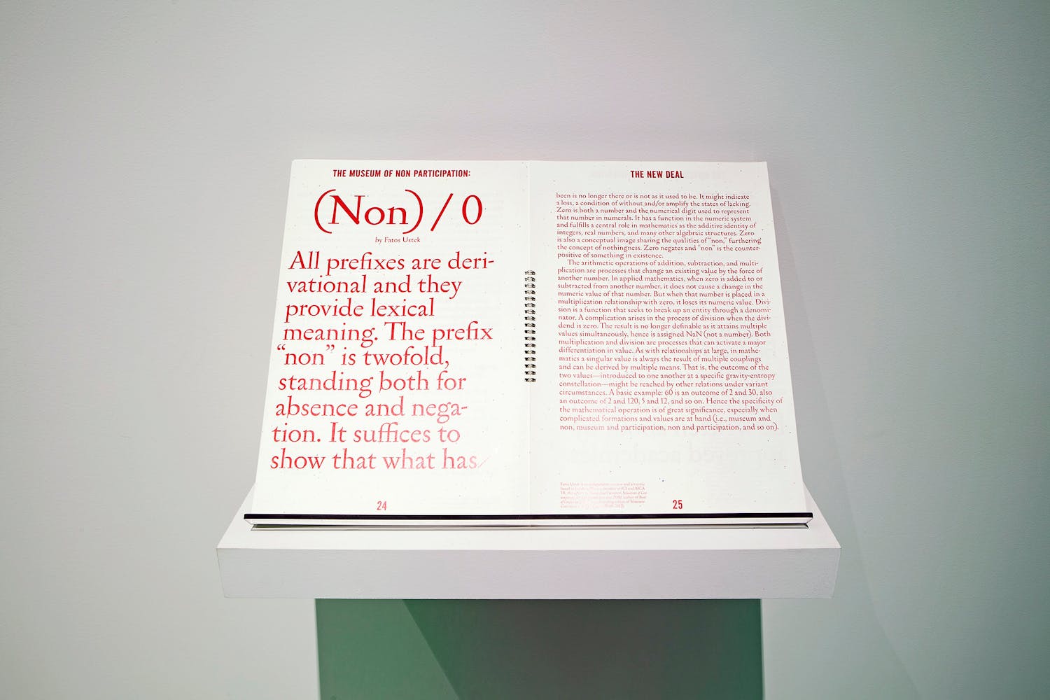 Installation view of the exhibition, The Museum of Non Participation, 2013
