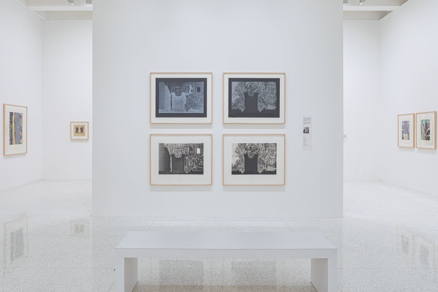 An Art of Changes Jasper Johns Prints, 19602018