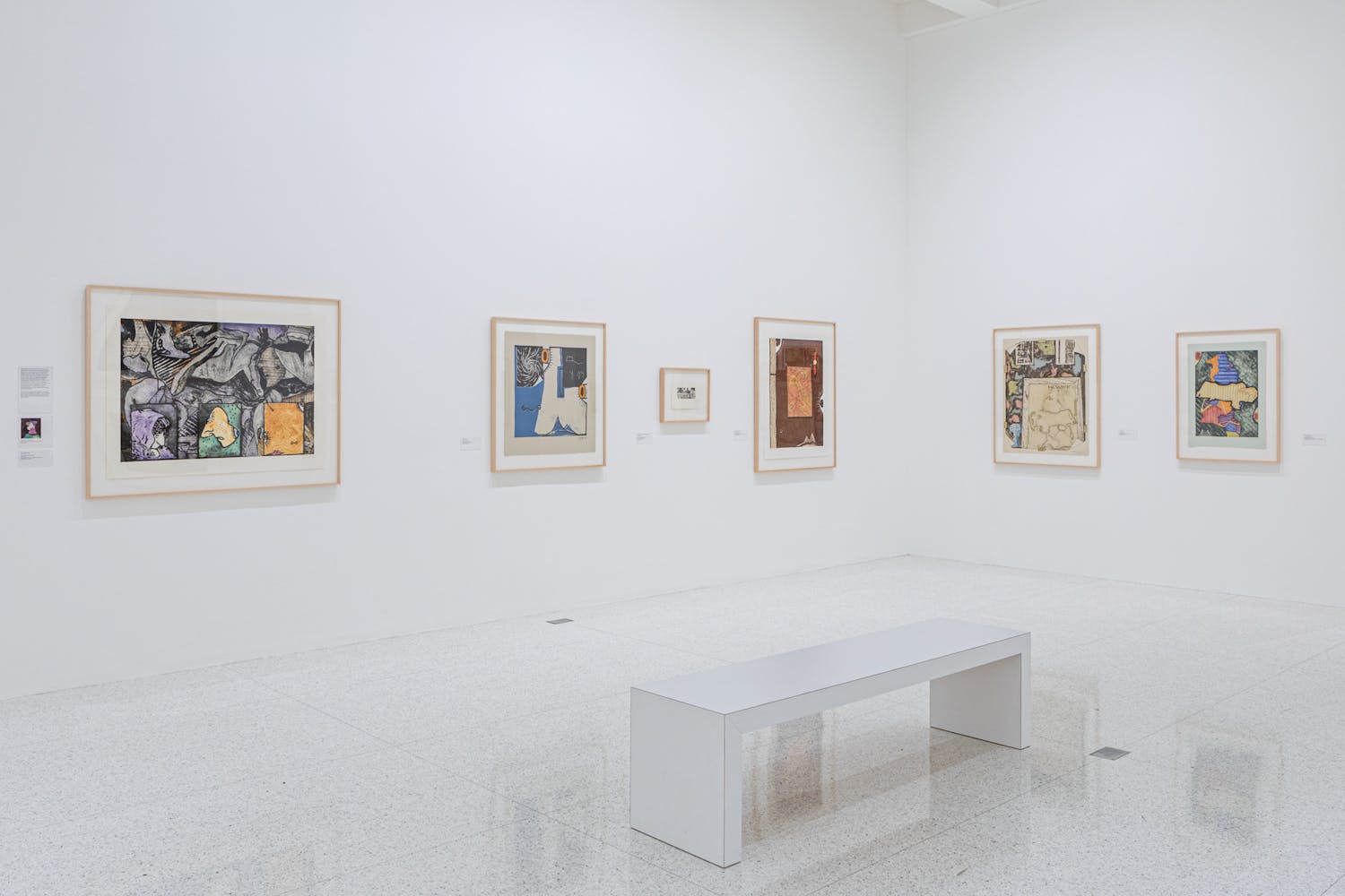 An Art of Changes Jasper Johns Prints, 19602018