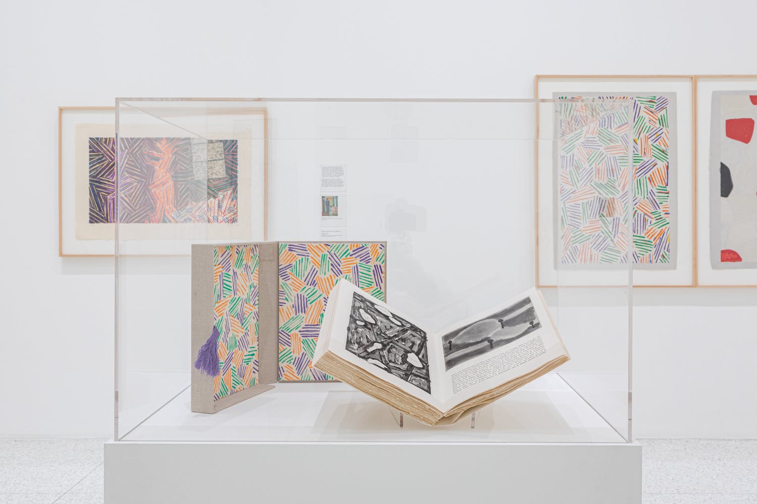 An Art of Changes Jasper Johns Prints, 19602018