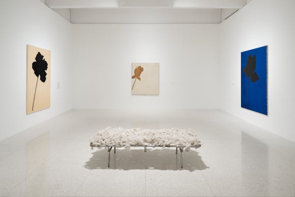 A bench covered in wool sits in front of three paintings of a single leaf in an art gallery.