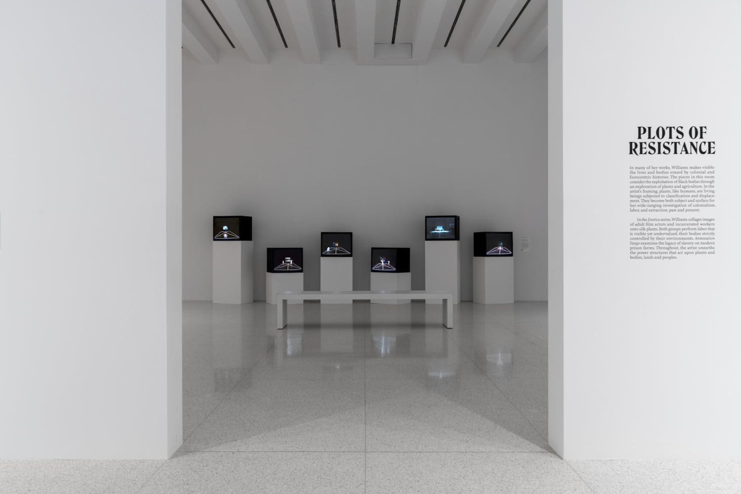 Videos play on a series on monitors in a white gallery.