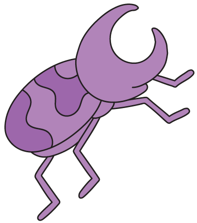beetle illustration