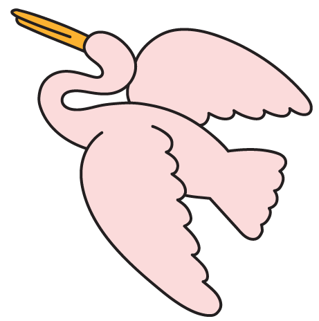 bird illustration