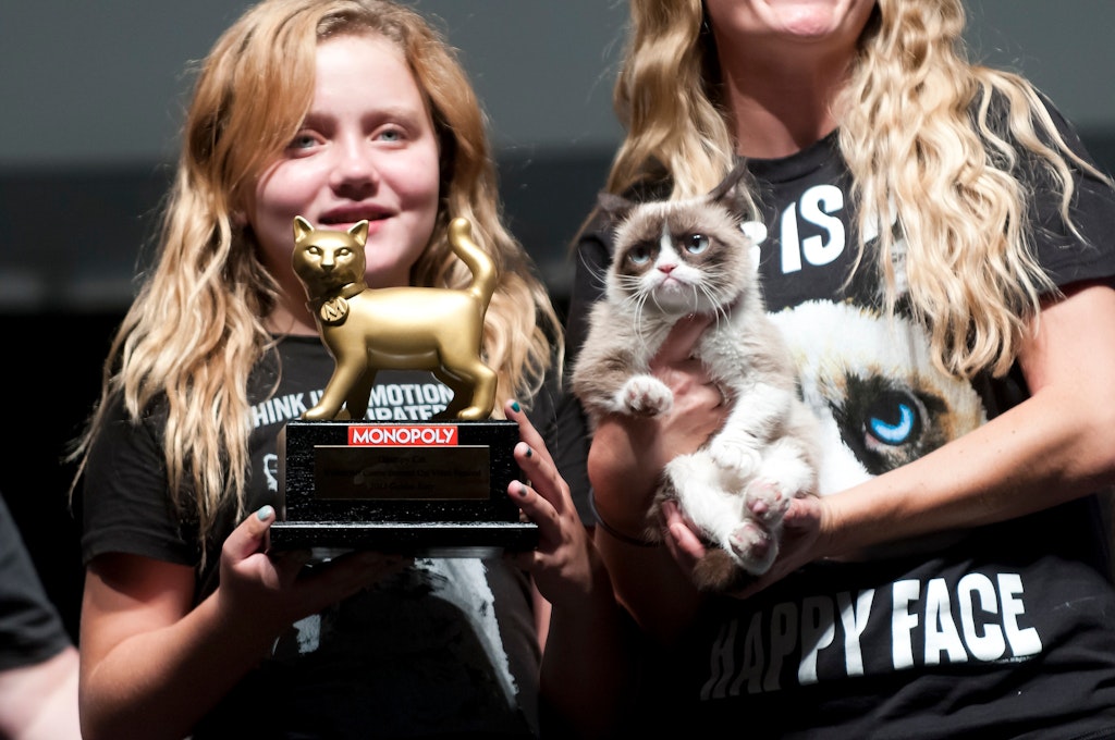 The 2013 Internet Cat Video Festival