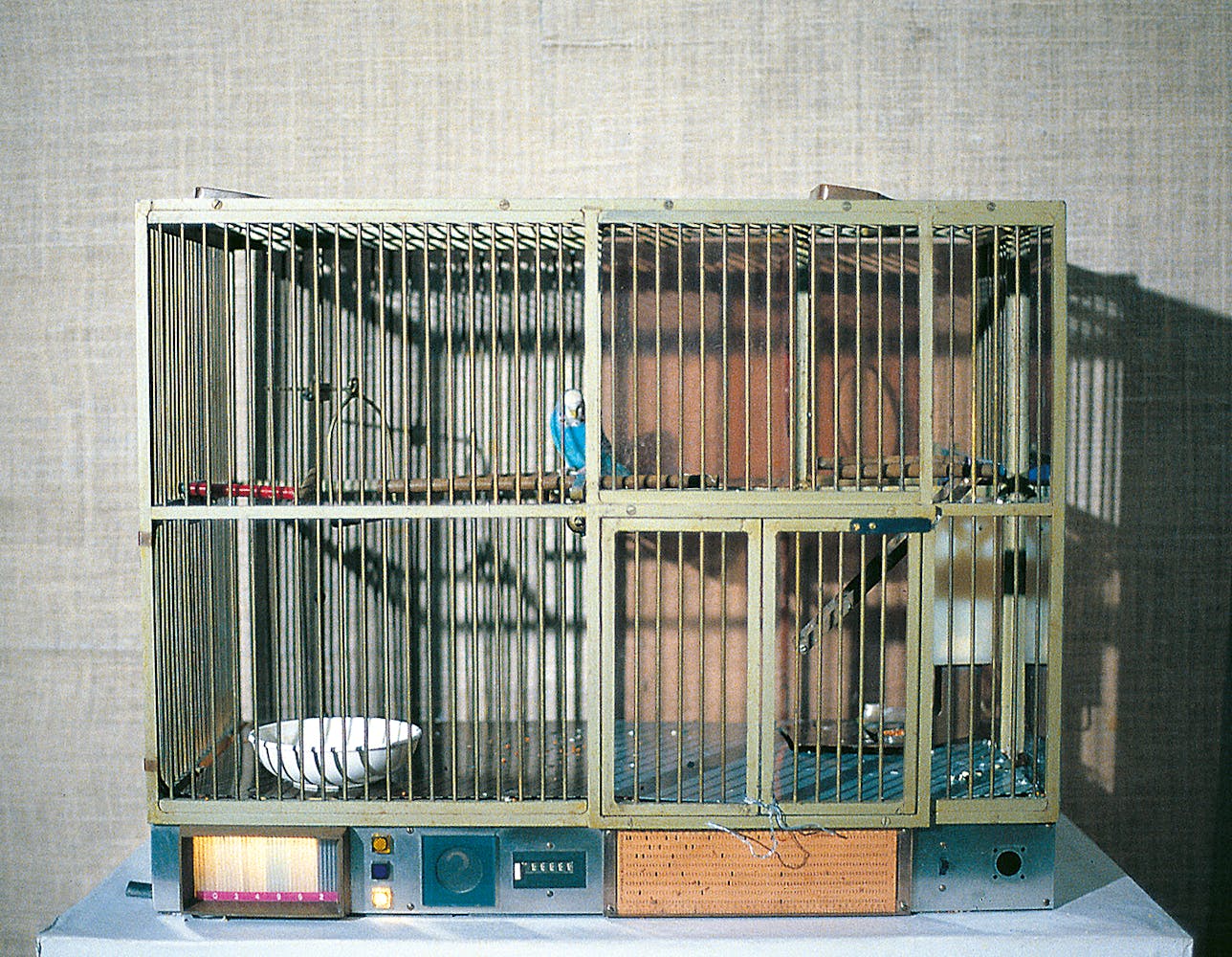 A birdcase made with circuts sits on a desk.
