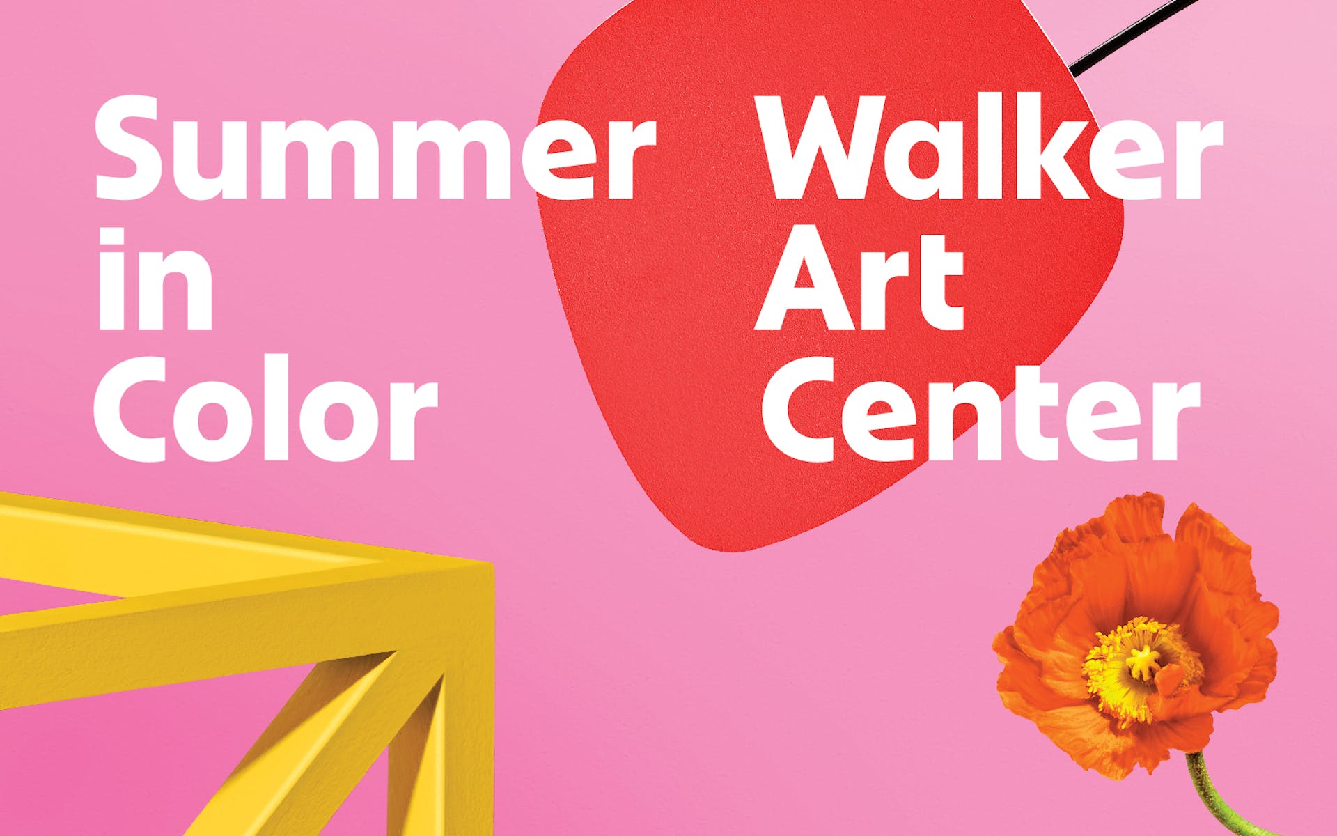 Logo: Summer in Color