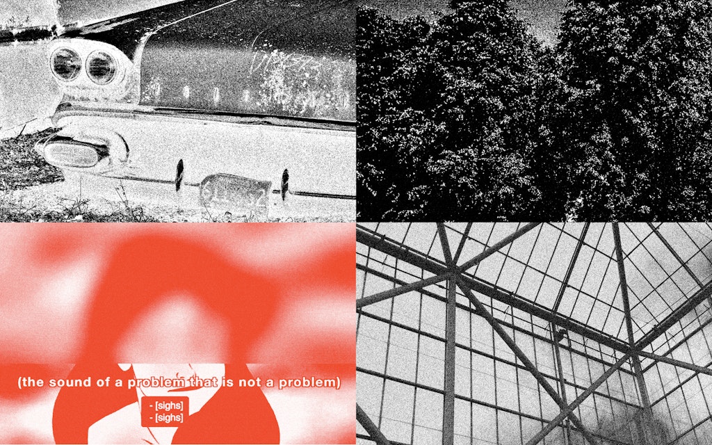 collage with tree, Ariel, and conservatory