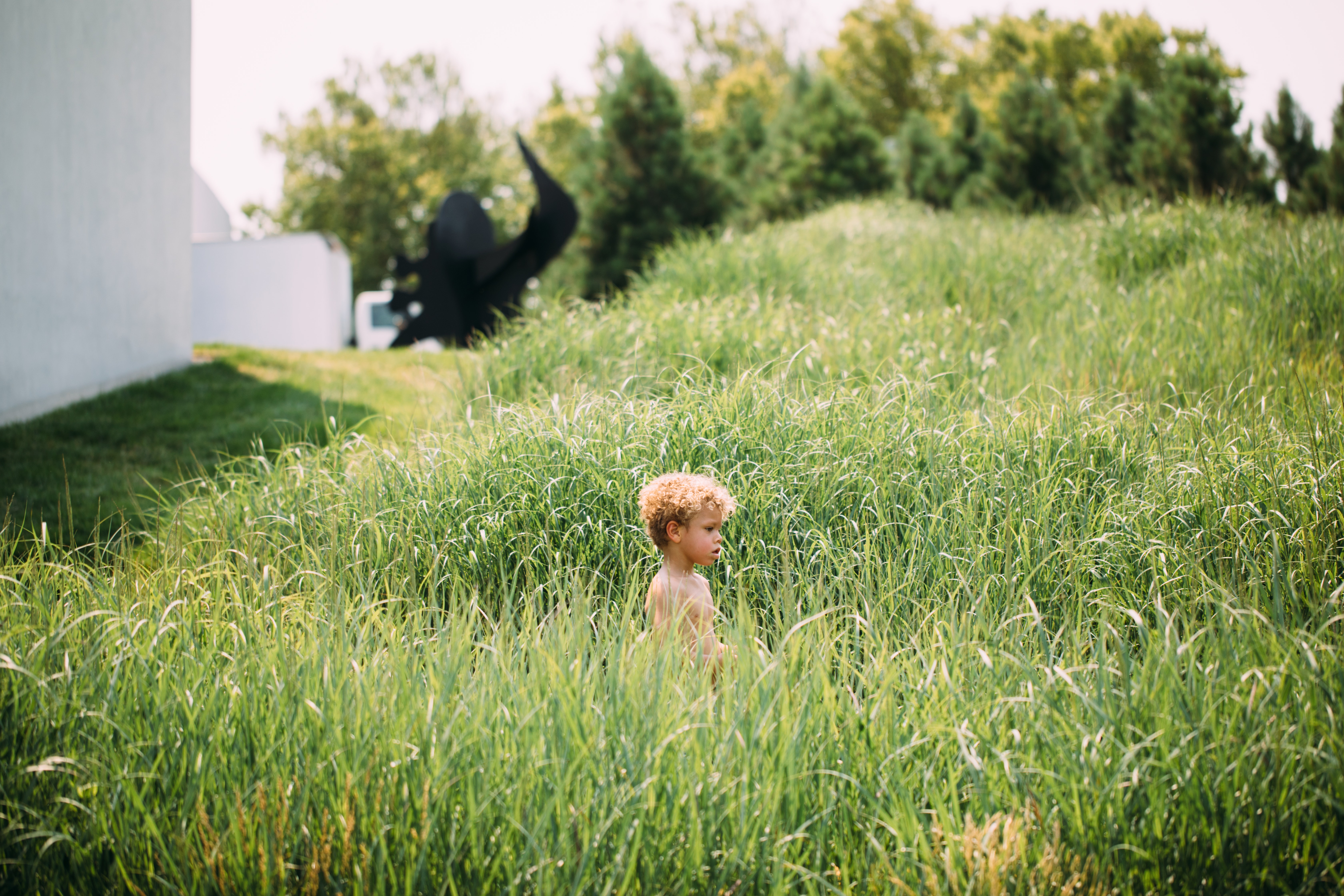 A young boy stands among tall grass in hte Minneapolis Sculpture Garden