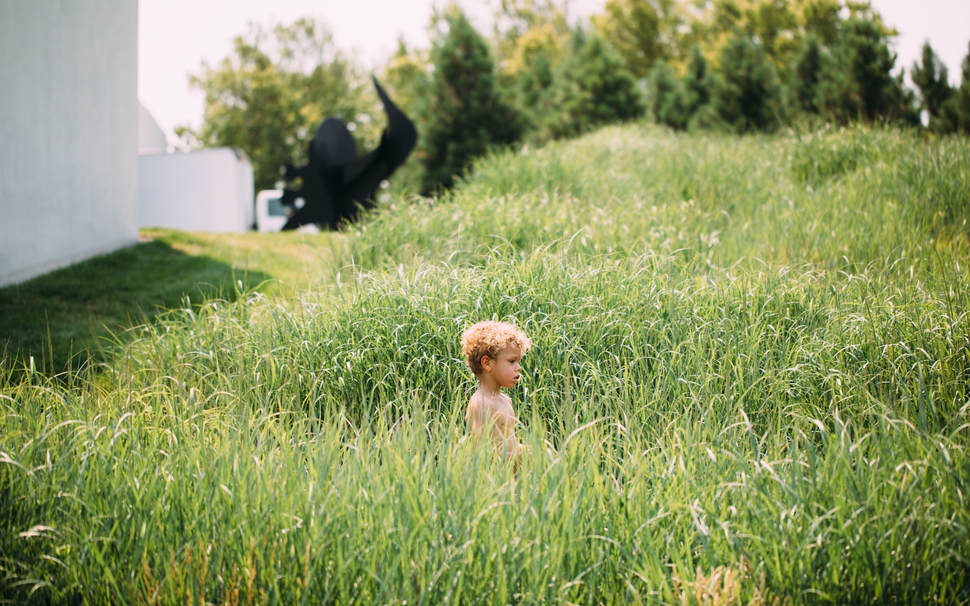 A young boy stands among tall grass in hte Minneapolis Sculpture Garden
