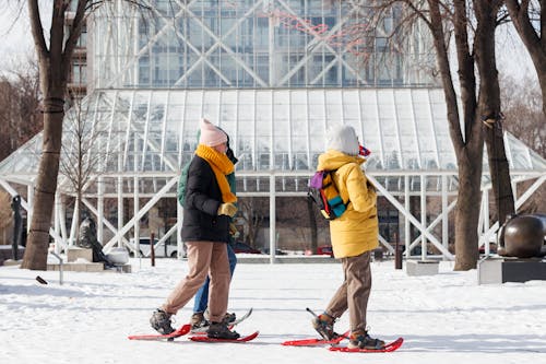 Adults snowshoe outdooers in a sculpture garden during a winter day.