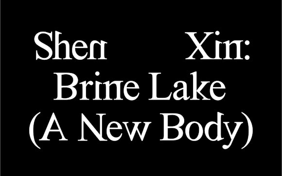 Shen Xin: Brine Lake (A New Body)