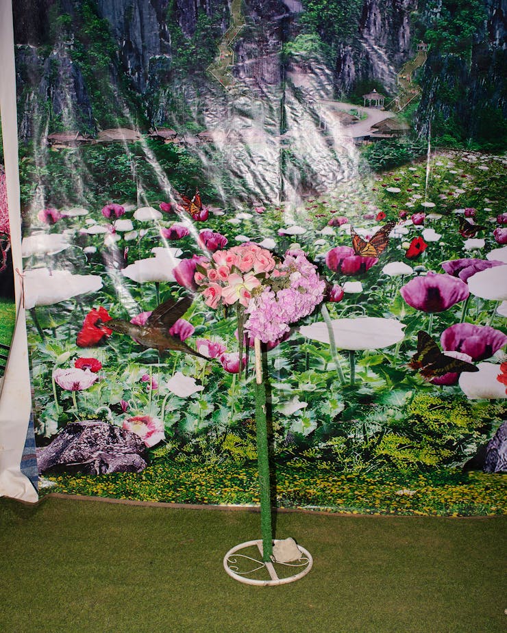 Photograph of flowers in front of printed backdrop of garden