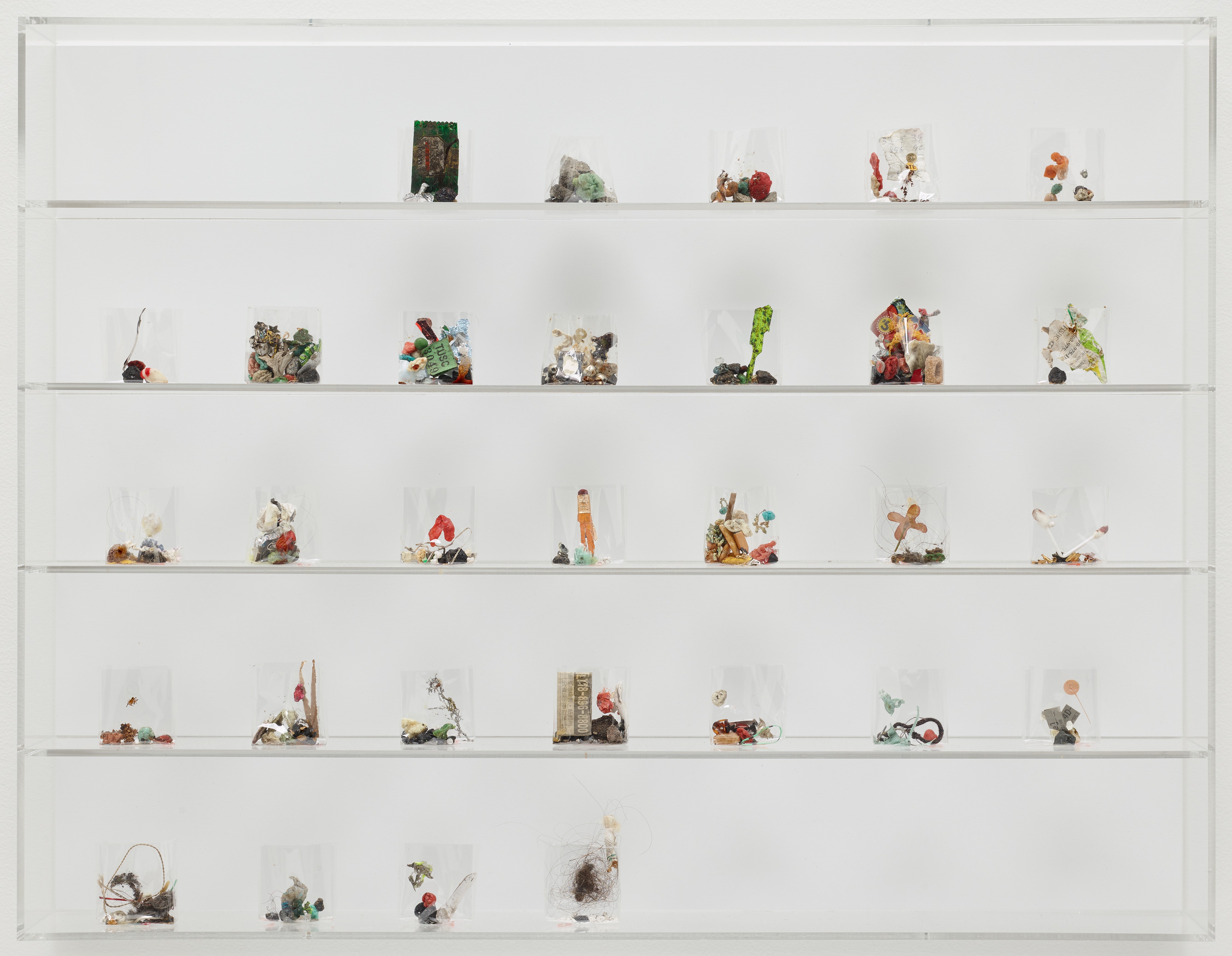 Small objects that look like plants sit on a glass shelf against a white background.