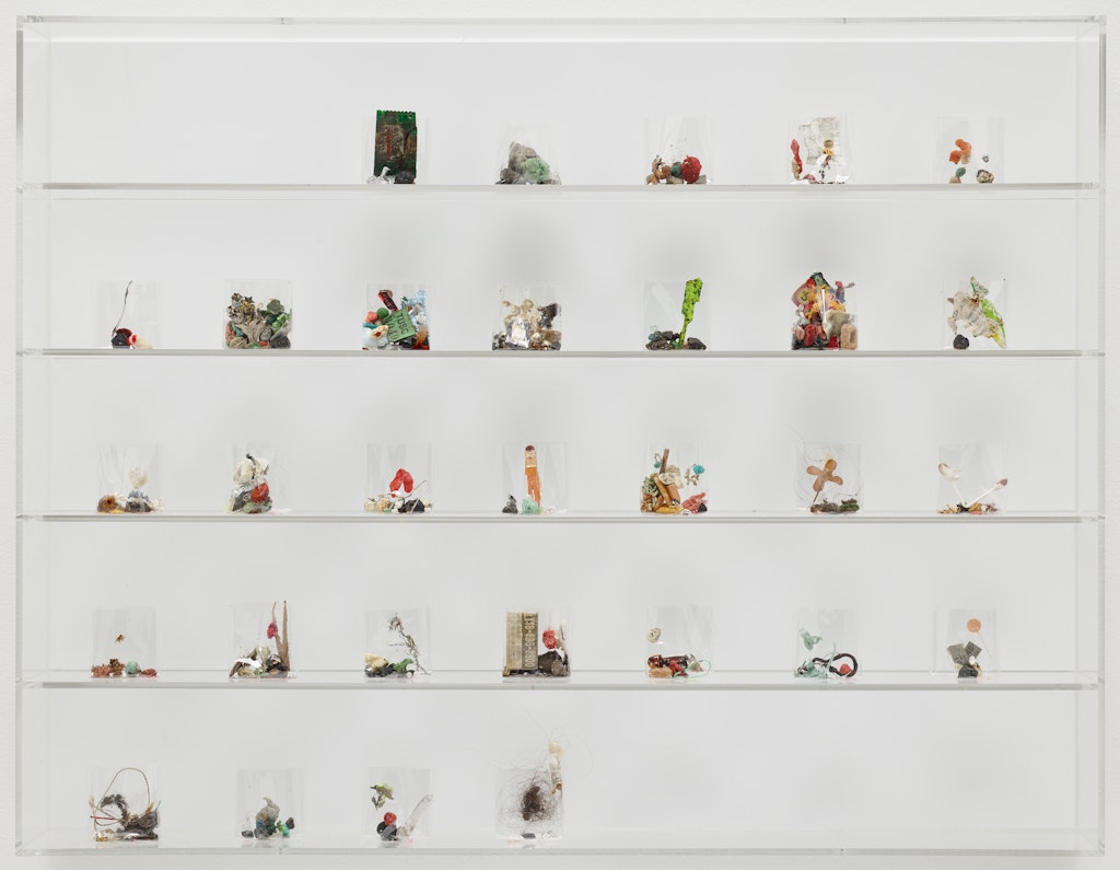 Small objects that look like plants sit on a glass shelf against a white background.